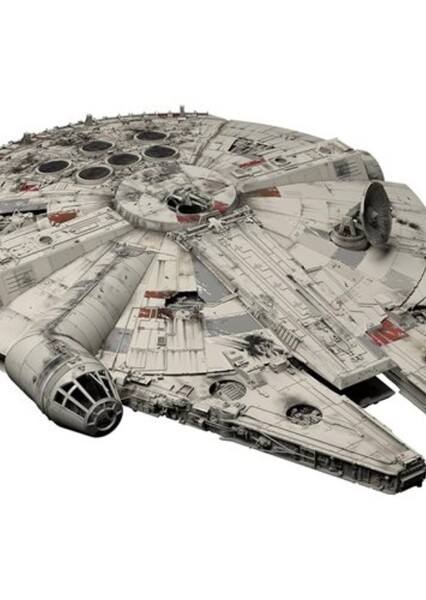 Han Solo and Chewbacca's Millennium Falcon photo