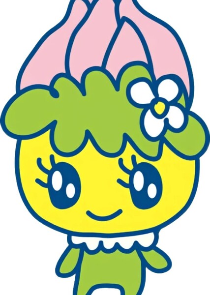 Hanafuwatchi