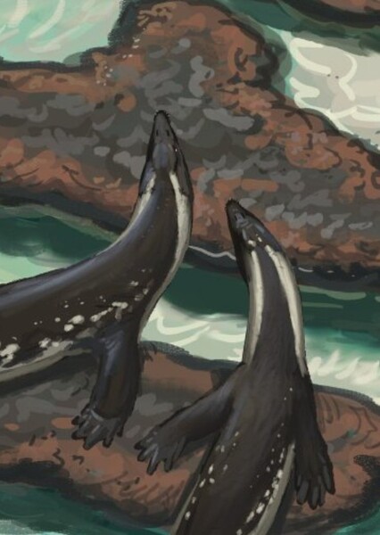 Hanosaurus