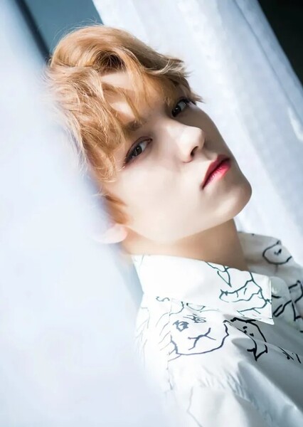Vernon photo