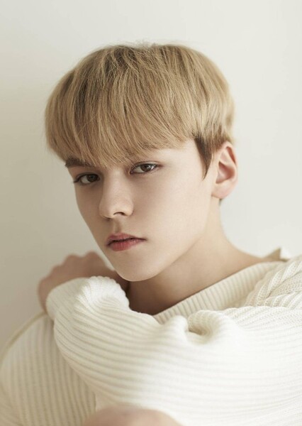 Vernon photo