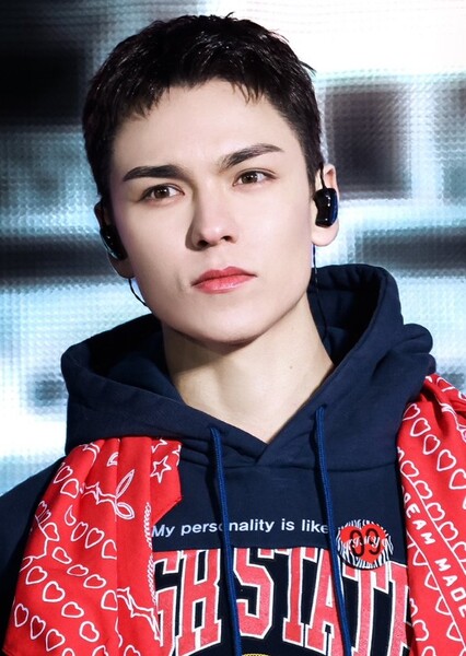 Vernon photo