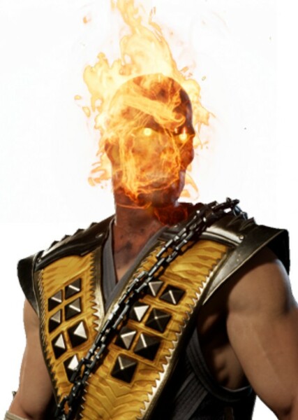 Hanzo Hasashi photo