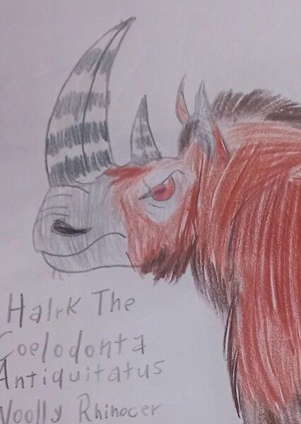 Harlk the Woolly Rhinoceros photo