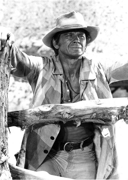 Harmonica (Once Upon a Time in the West) photo