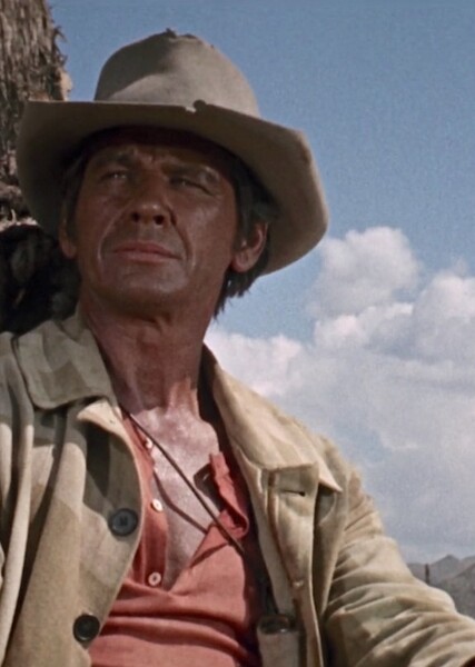 Harmonica (Once Upon a Time in the West) photo
