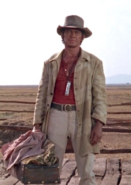 Harmonica (Once Upon a Time in the West) photo