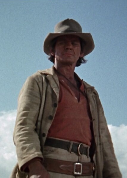 Harmonica (Once Upon a Time in the West) photo