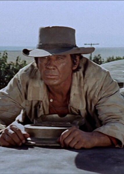 Harmonica (Once Upon a Time in the West) photo
