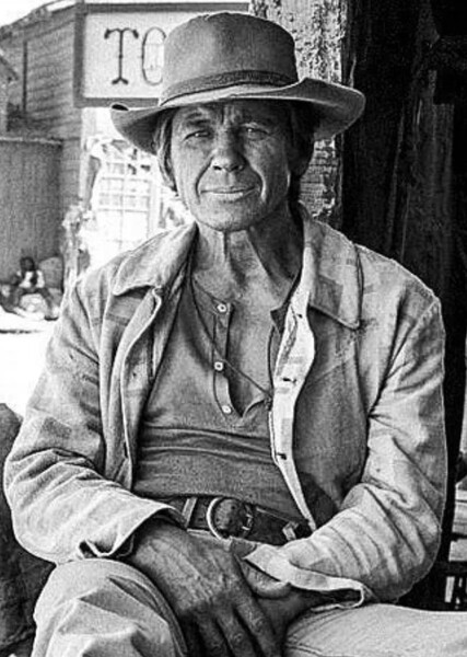 Harmonica (Once Upon a Time in the West) photo