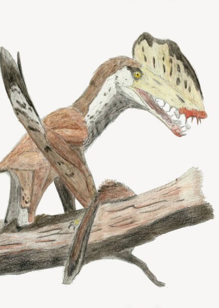 Harpactognathus