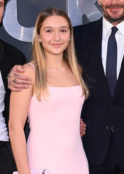 Harper Beckham photo