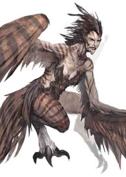 Harpy photo