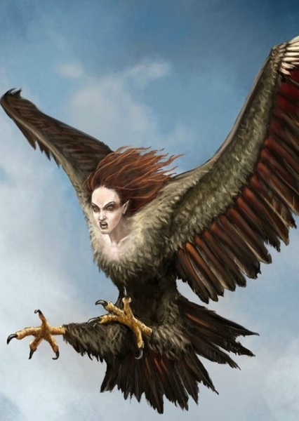 Harpy photo