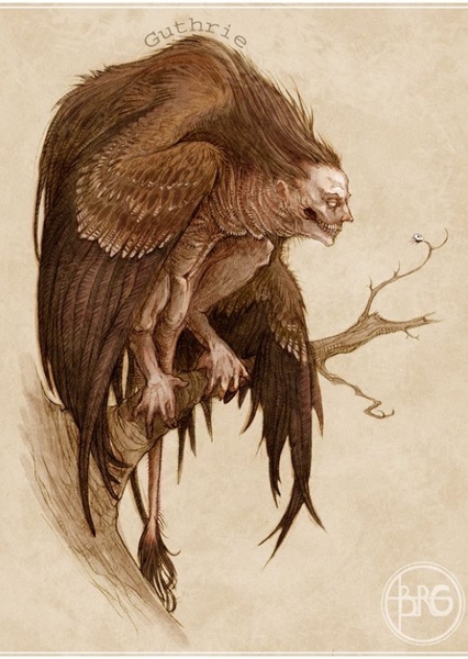 Harpy photo