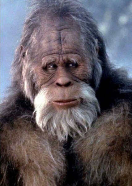 Harry (Harry and the Hendersons) photo