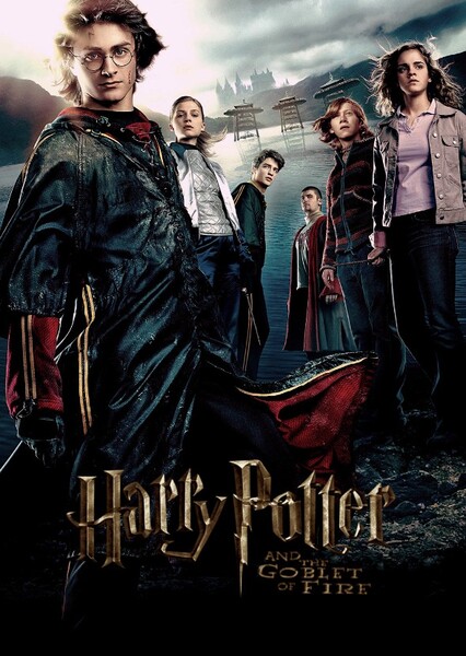 Harry Potter and the Goblet of Fire (film)
