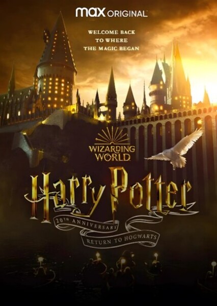 Harry Potter (TV Show)