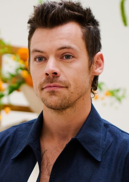 Harry Styles photo