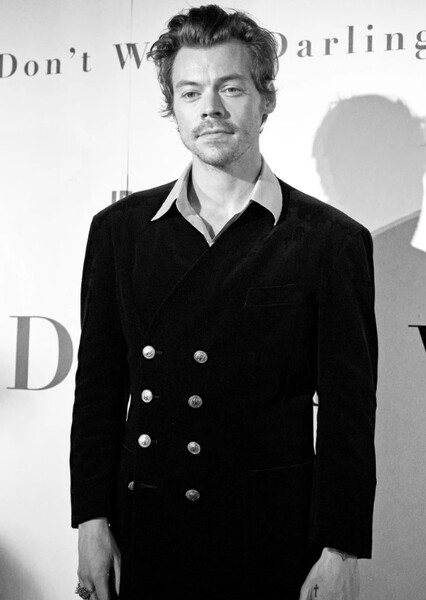 Harry Styles photo
