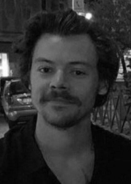 Harry Styles photo