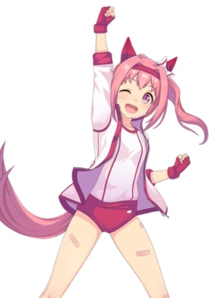 Haru Urara photo