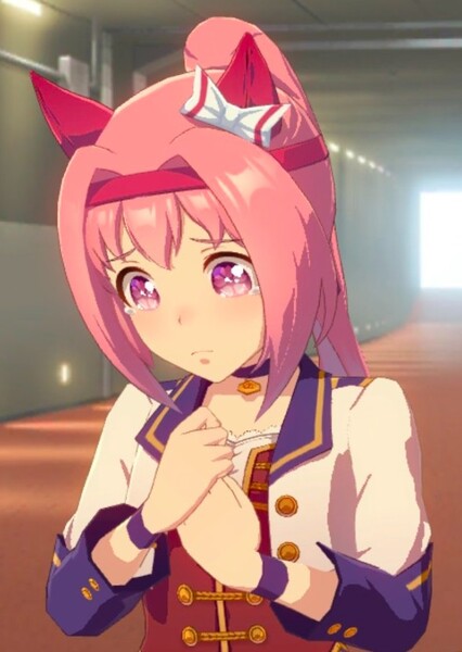 Haru Urara photo