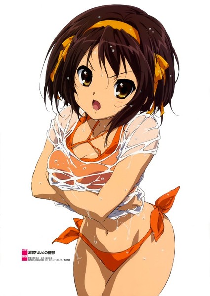 Haruhi Suzumiya photo