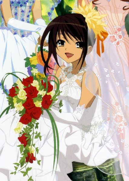 Haruhi Suzumiya photo