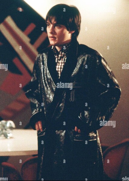 Harvey Stern (Deconstructing Harry)