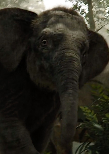 Hathi, Jr. photo