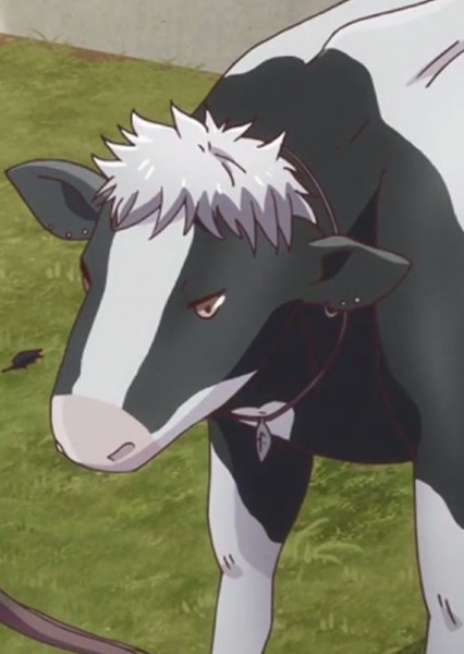 Hatsuharu Sohma photo