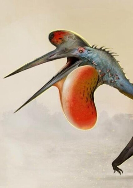 Hatzegopteryx photo