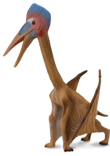 Hatzegopteryx photo