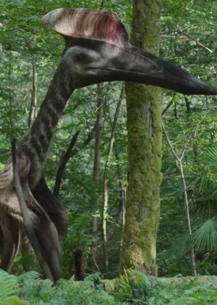 Hatzegopteryx