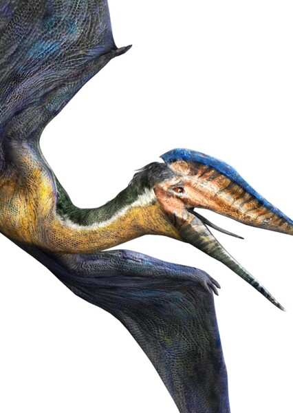 Hatzegopteryx (Jurassic World Alive)