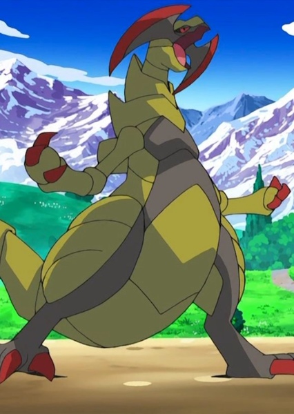 Haxorus photo