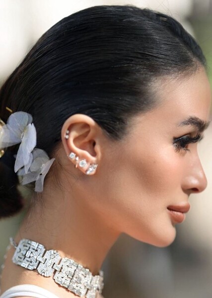 Heart Evangelista photo