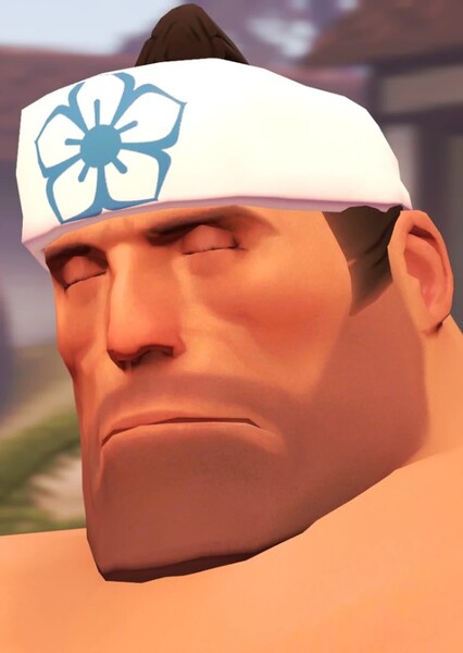 Heavy Sumo Guy