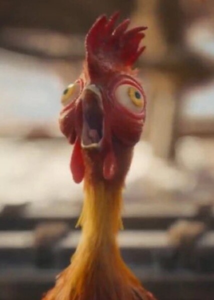 HeiHei (Moana 2026)