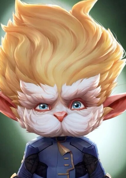 Heimerdinger photo