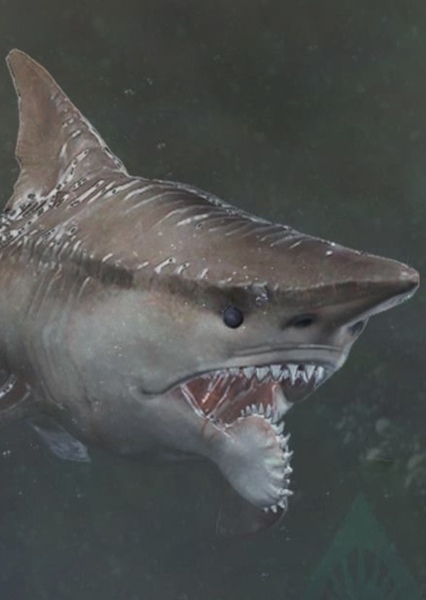 Helicoprion
