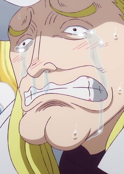 Helmeppo photo