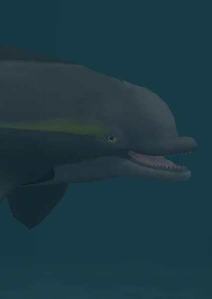 Hemisyntrachelus