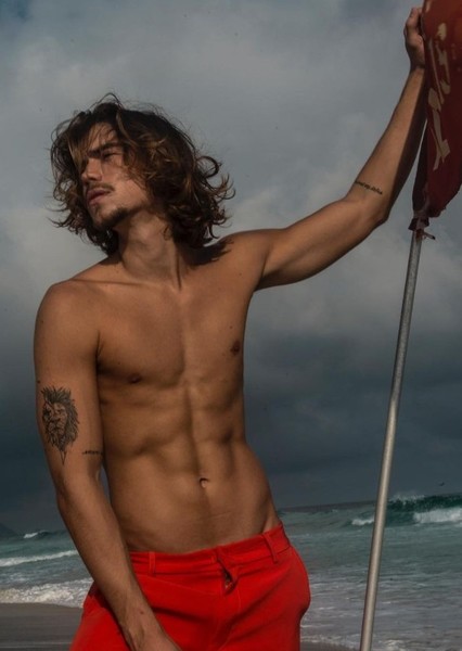 Henrique Meinke photo