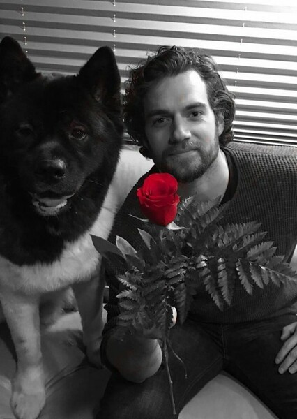 Henry Cavill photo