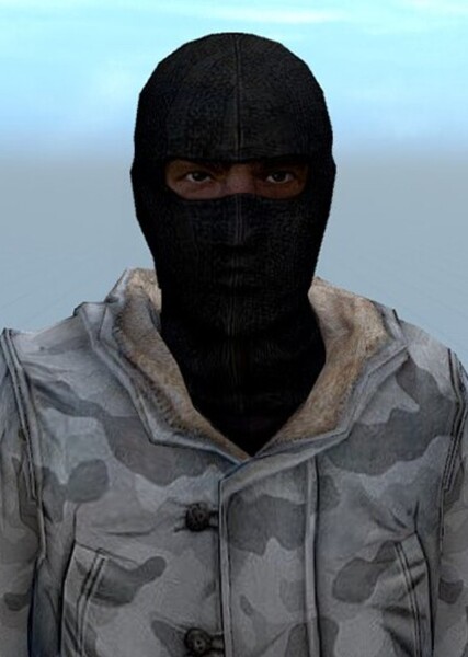 Henry Stewart/Arctic Avenger (Counter Strike)