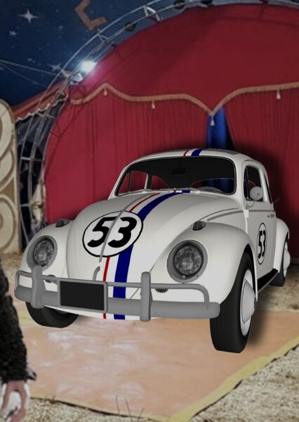 Herbie photo