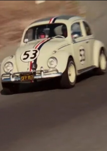 Herbie photo