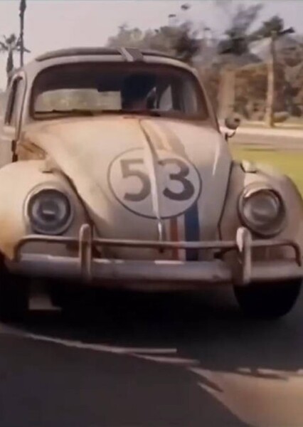 Herbie photo